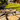 Bronze Flagstone