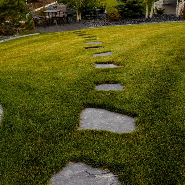 10mm Rundle Stone Path Rundle Black Flagstone | Natural Patio Stone | CLS Landscape Supply